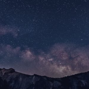 Optimized by JPEGmini 3.12.0.2 0x299d594e